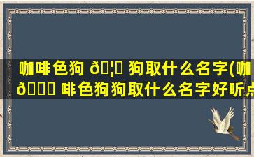 咖啡色狗 🦉 狗取什么名字(咖 🐘 啡色狗狗取什么名字好听点)